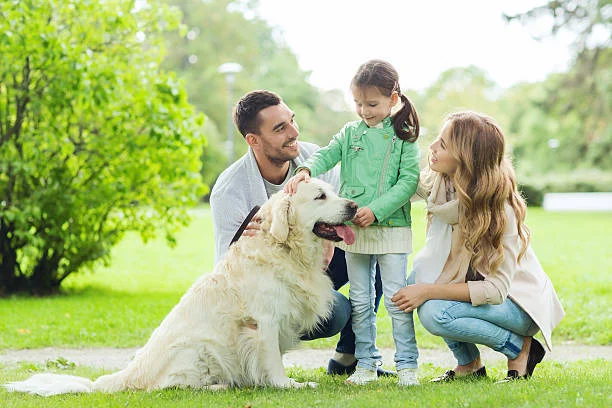 Family playing in beautiful lawn