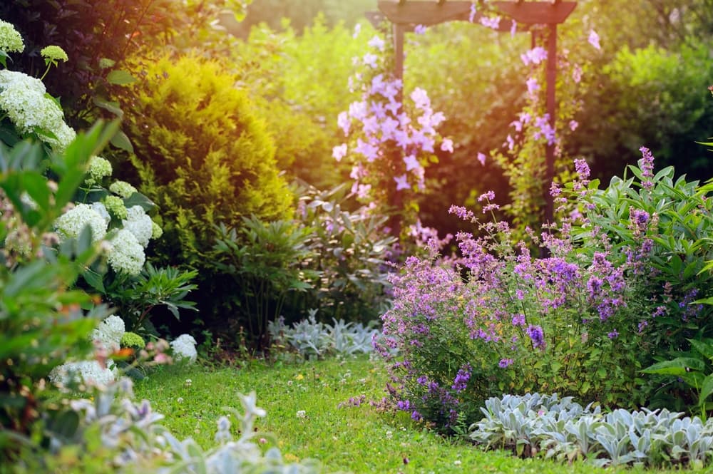 Fairfield County Landscaped Backyard