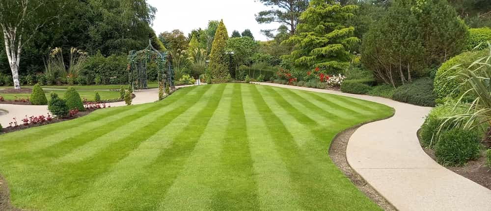 Expert Lawn Care Services Fairfield County, Ct