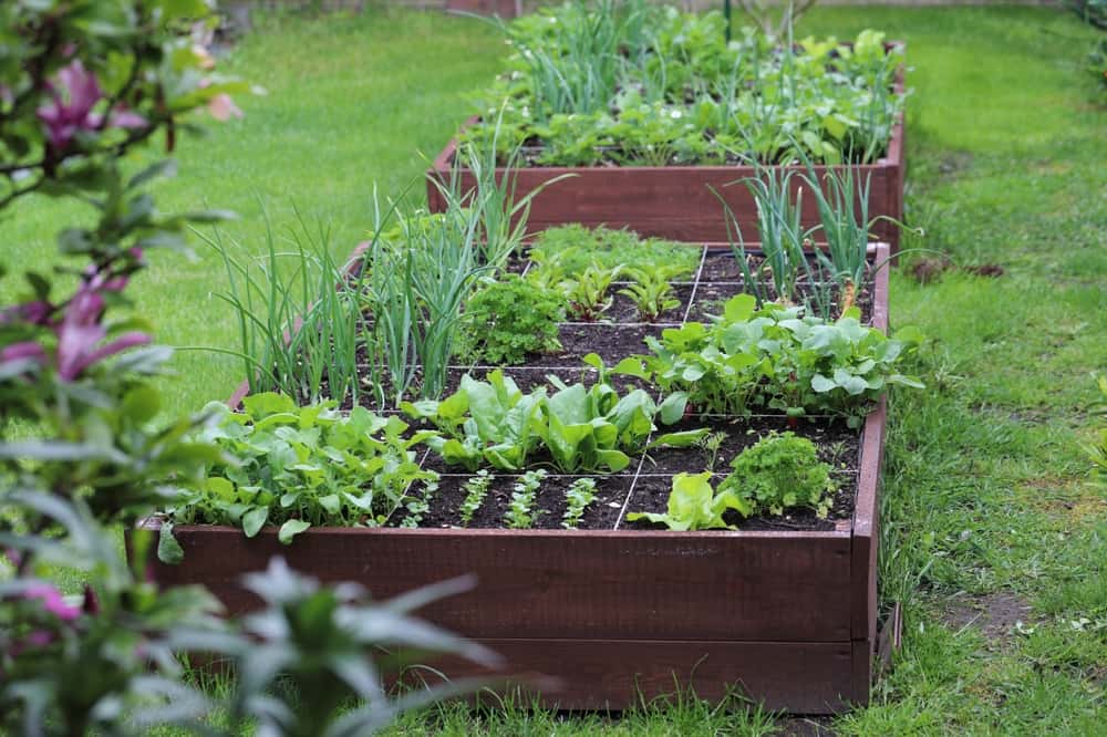 Eco Friendly Landscaping Solutions In Fairfield County, Ct
