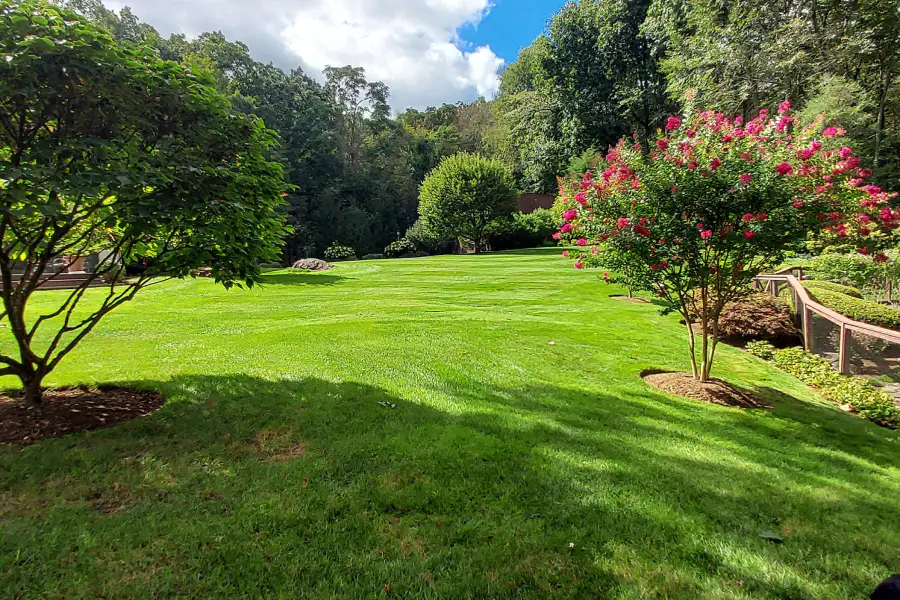 Tree And Shrub Care Fairfield County