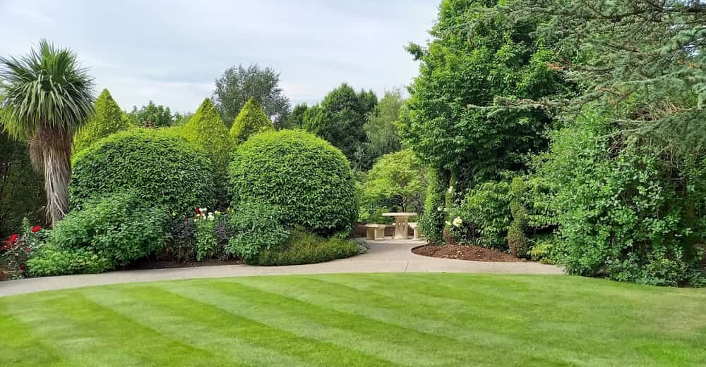 Professional Lawn Care Services Fairfield County, CT