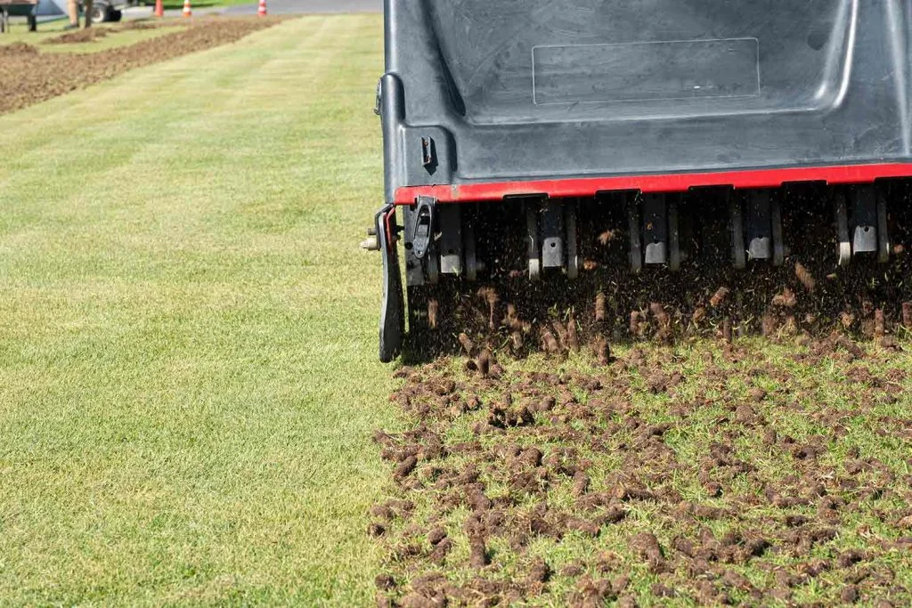 Core Aeration ct