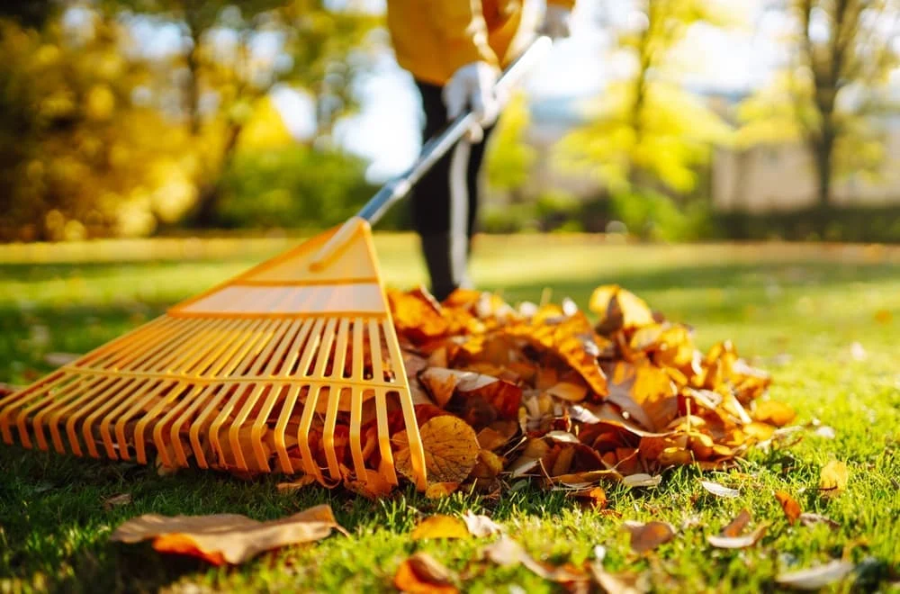 Fall lawn clean up in fairfield county ct