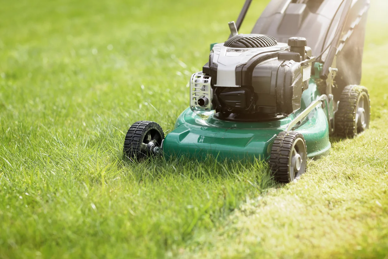 First mow after winter