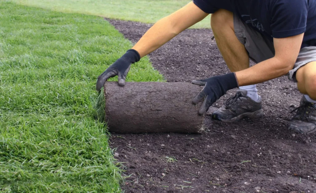 Landscaper stamford ct installing sod