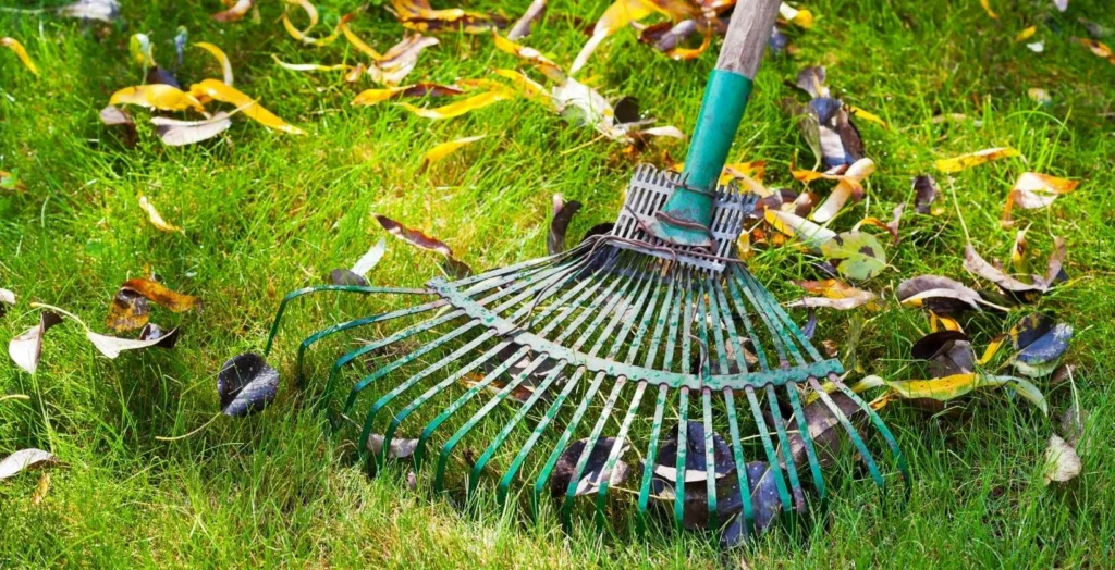 Spring Cleanup after winter