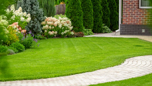 Spring lawn care